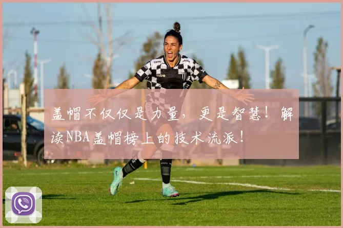 盖帽不仅仅是力量,更是智慧!解读NBA盖帽榜上的技术流派!