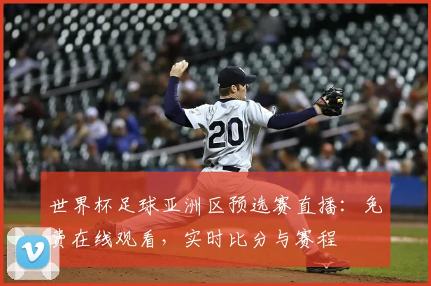 世界杯足球亚洲区预选赛直播：免费在线观看，实时比分与赛程