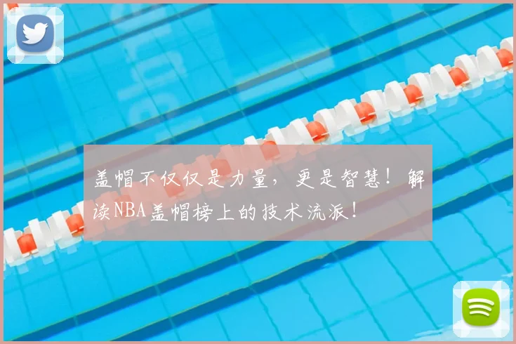 盖帽不仅仅是力量，更是智慧！解读NBA盖帽榜上的技术流派！